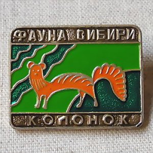 画像1: ロシアンバッジ　シベリアの動物・チョウセンイタチ
