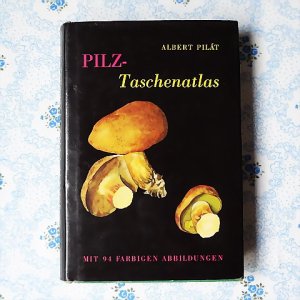 画像1: ドイツ　ヴィンテージ　きのこの本　「PILZ-Taschenatlas」   1976